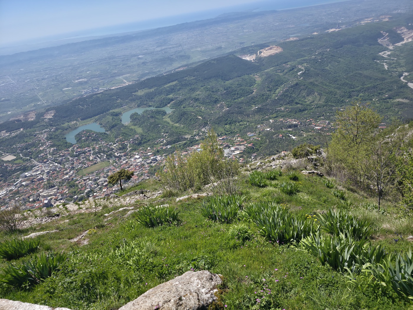 Spring wildflowers on the summit with Krujë and the valley far below